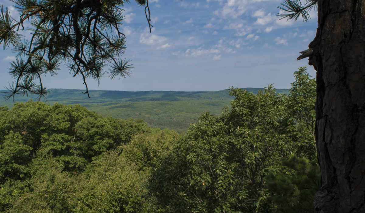 Appalachian Trail, Backpacking (© Baltimore Chesapeake Bay Outward Bound School)