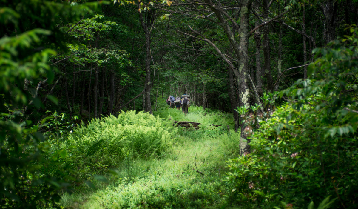 Dolly Sods Wilderness, West Virginia, Backpacking (© Baltimore Chesapeake Bay Outward Bound School)