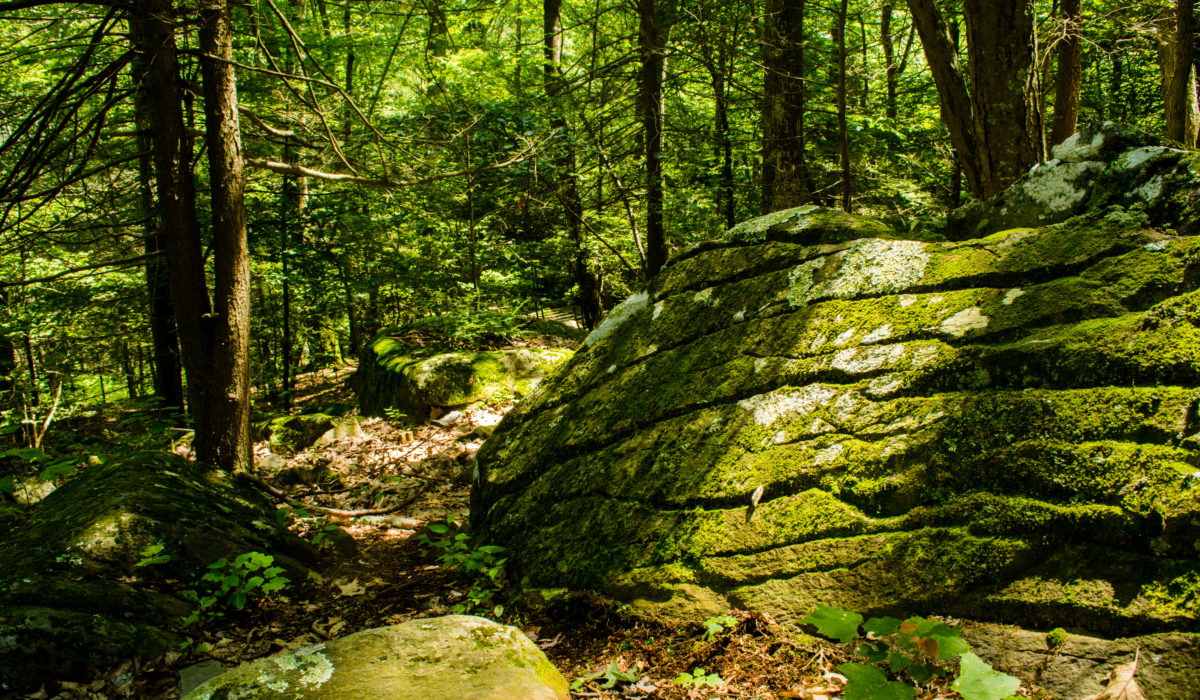 Appalachian Trail, Backpacking (© Baltimore Chesapeake Bay Outward Bound School)