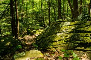 Appalachian Trail, Backpacking (© Baltimore Chesapeake Bay Outward Bound School)