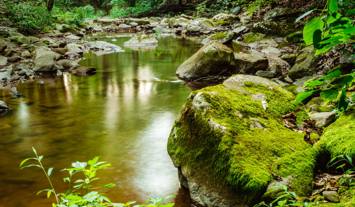 Appalachian Trail, Backpacking (© Baltimore Chesapeake Bay Outward Bound School)