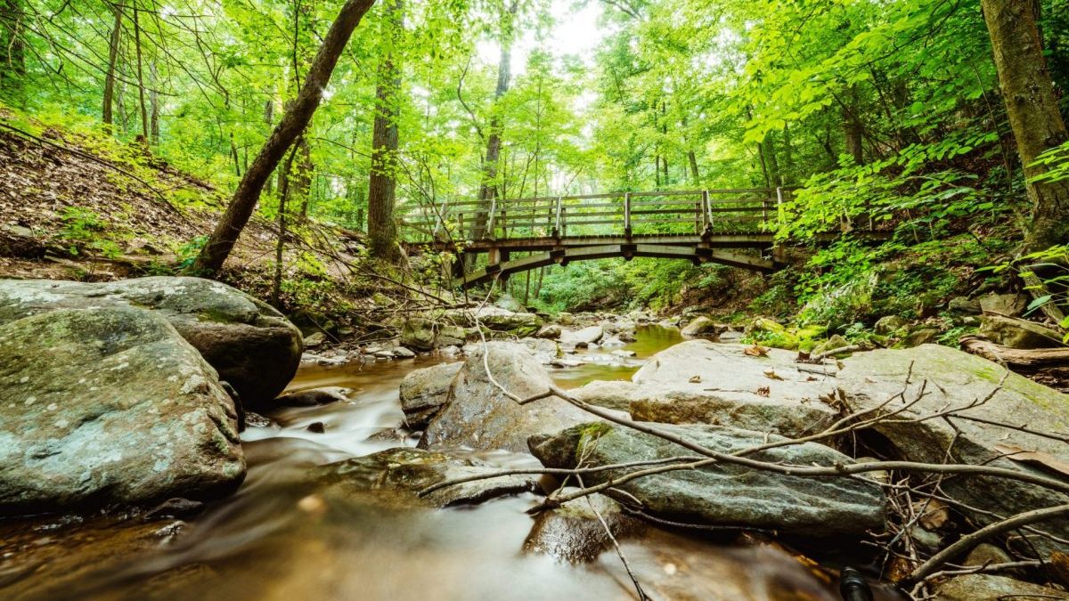 Appalachian Trail, Backpacking (© Baltimore Chesapeake Bay Outward Bound School)