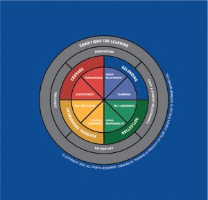 Domains of Thriving