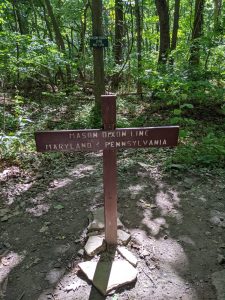 PXL_20220606_201947069