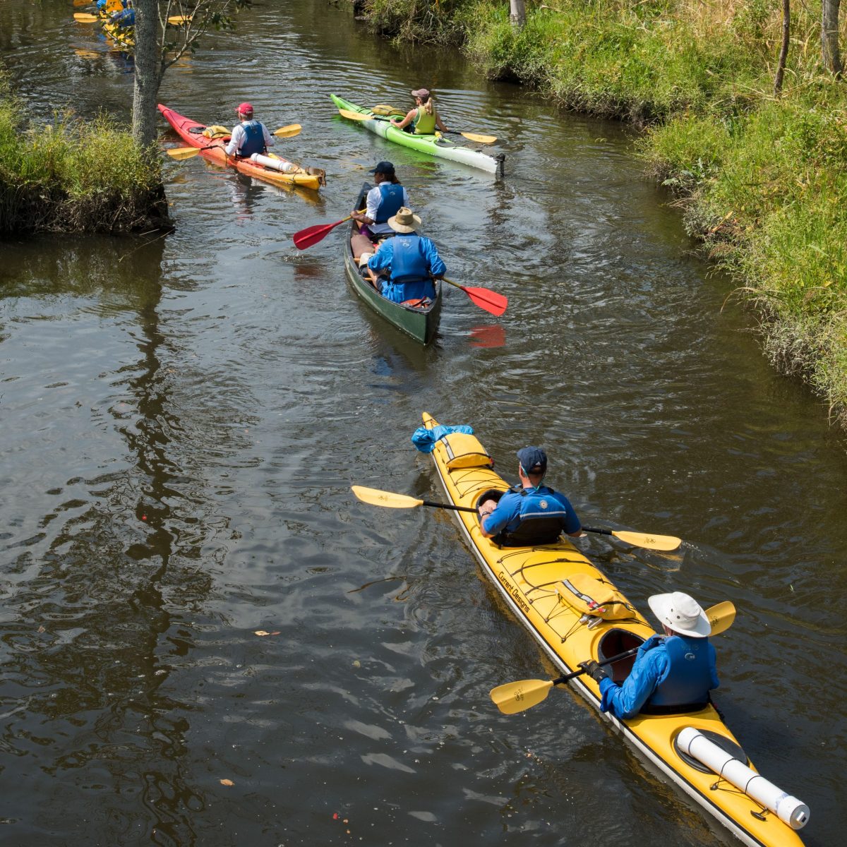 Jay Fleming Board Expedition