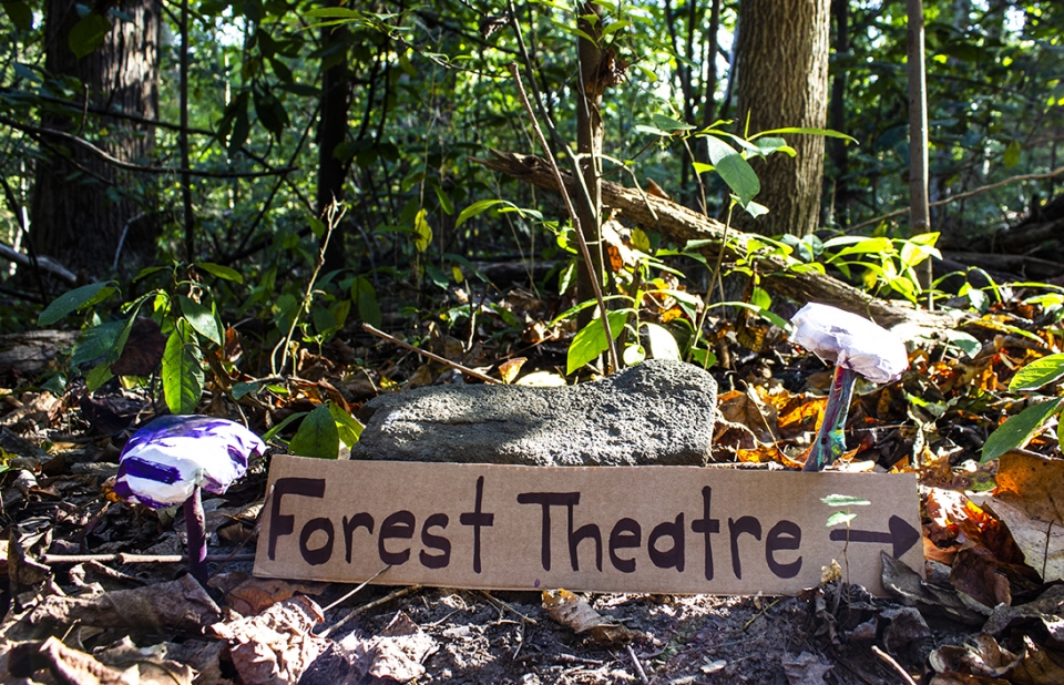 Forest Theater