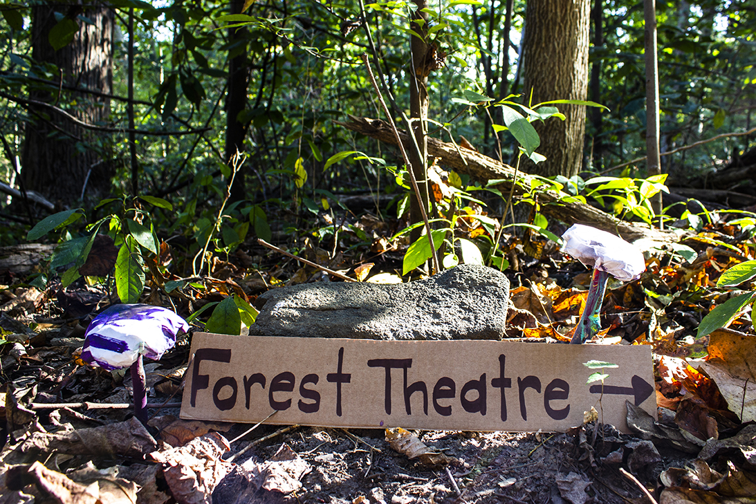 Forest Theater