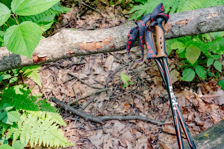 trekking pole on a log in nature